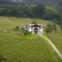 Vistas bodega ADOS Basarte