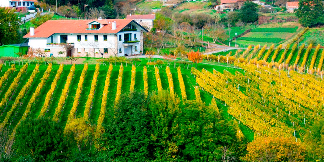 Agroturismo y viñedos Bodega ADOS Basarte en Bakio