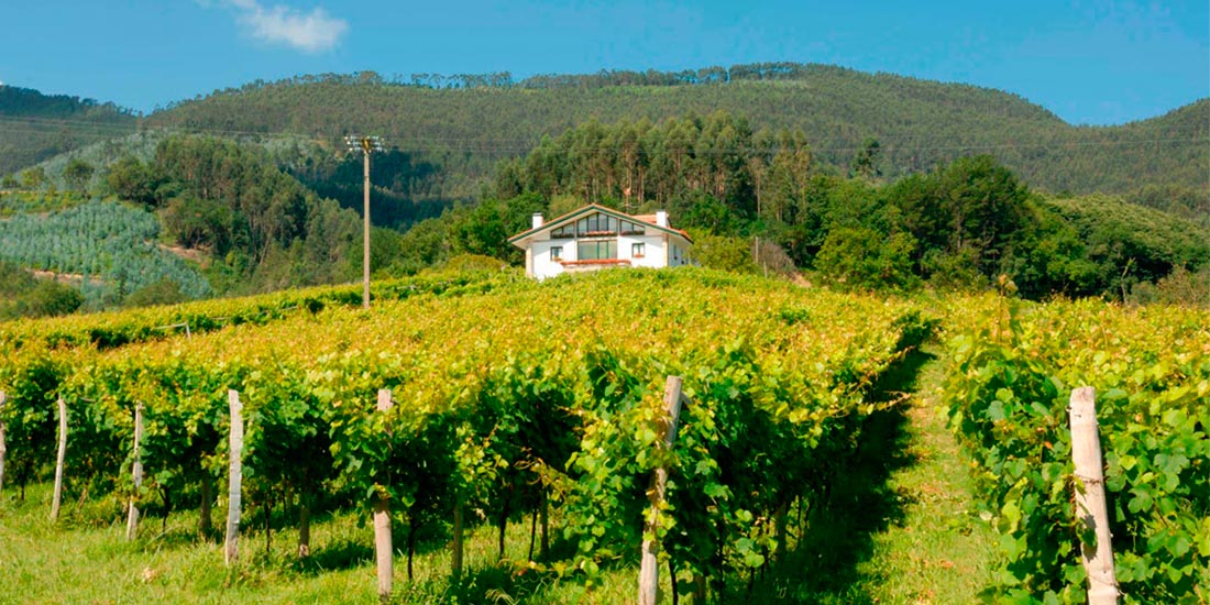 Agroturismo Bodega ADOS Basarte