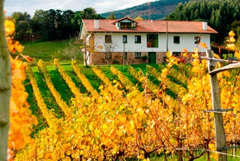 Bodega ADOS Basarte