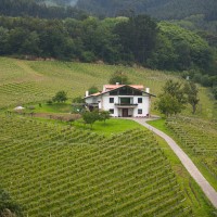 Vista de la Casa rural Basarte y sus viñedos